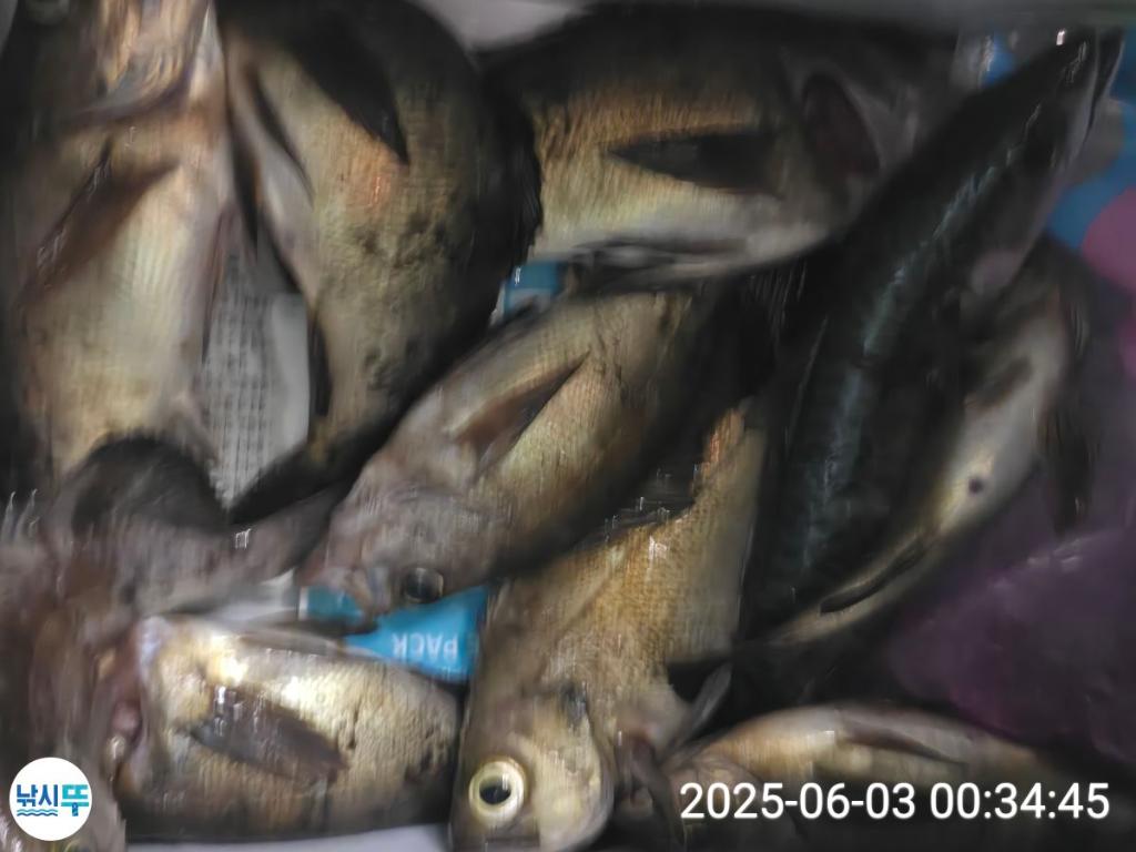 F2689572CH.jpg