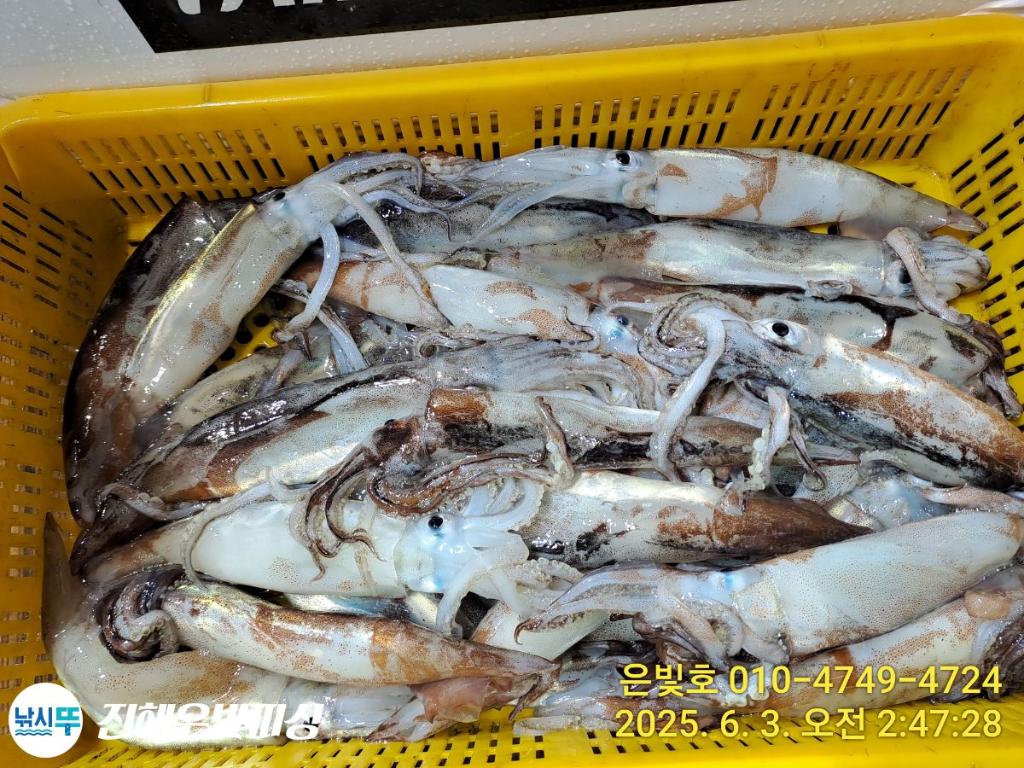 F2689592UT.jpg