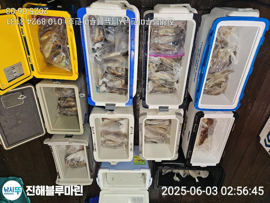 낚시뚜,오징어,한치,진해수도항,진해블루마린낚시,낚시뚜5