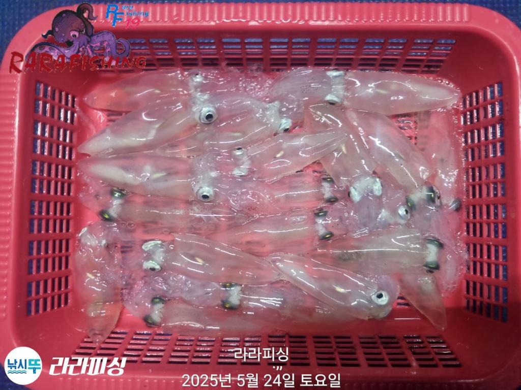 F2689901JG.jpg