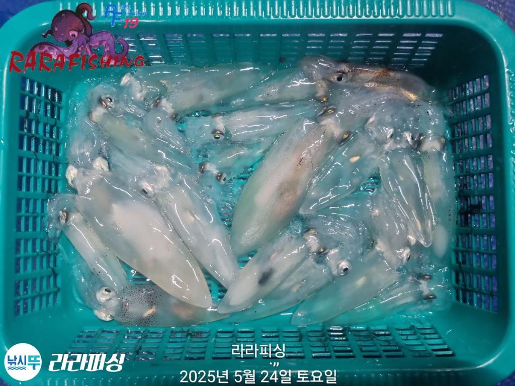 F2689902HU.jpg