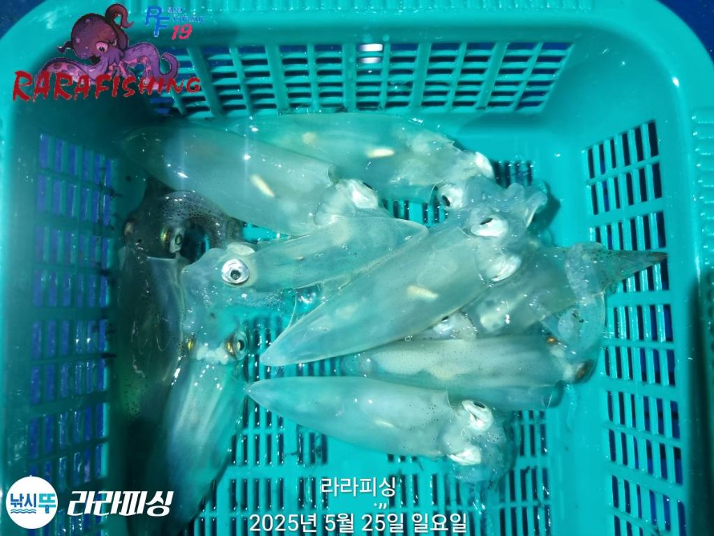 F2689905H9.jpg