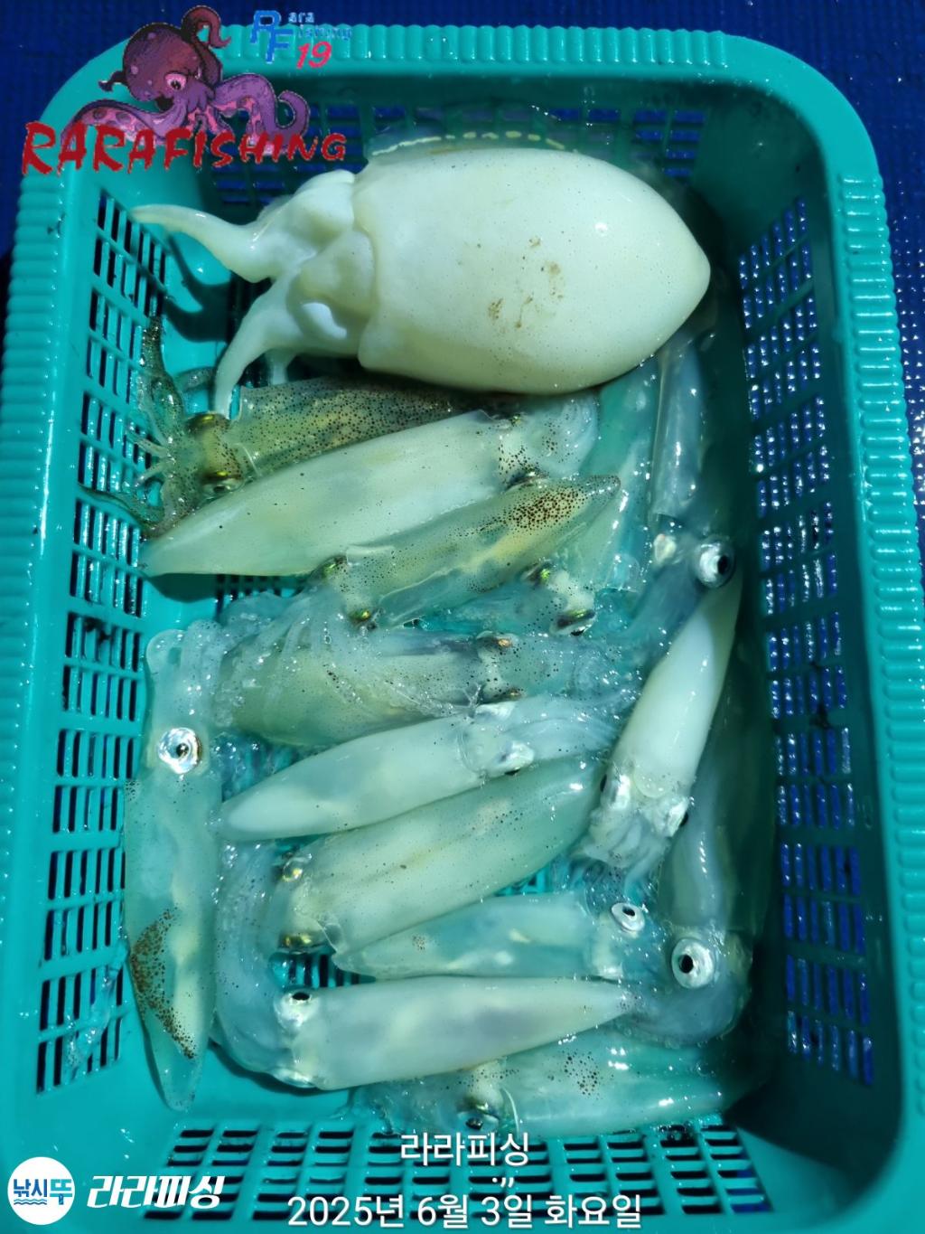 F26899153L.jpg