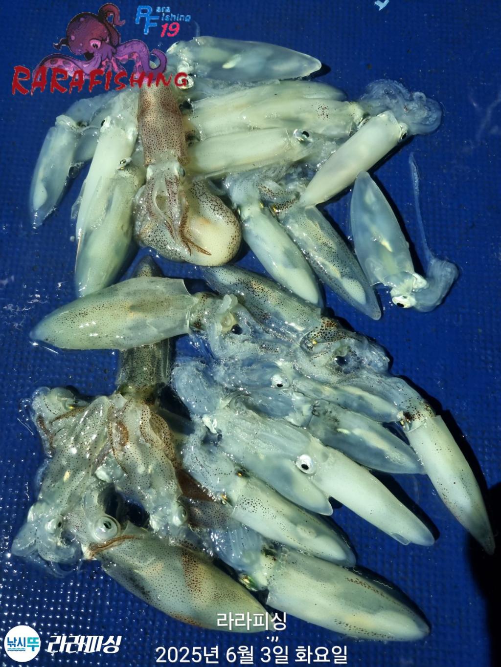 F268992323.jpg
