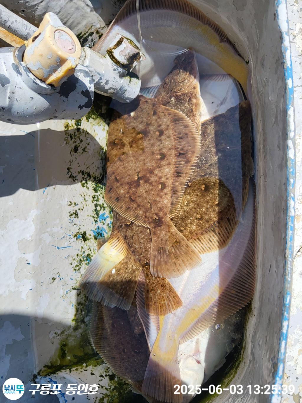F269010990.jpg