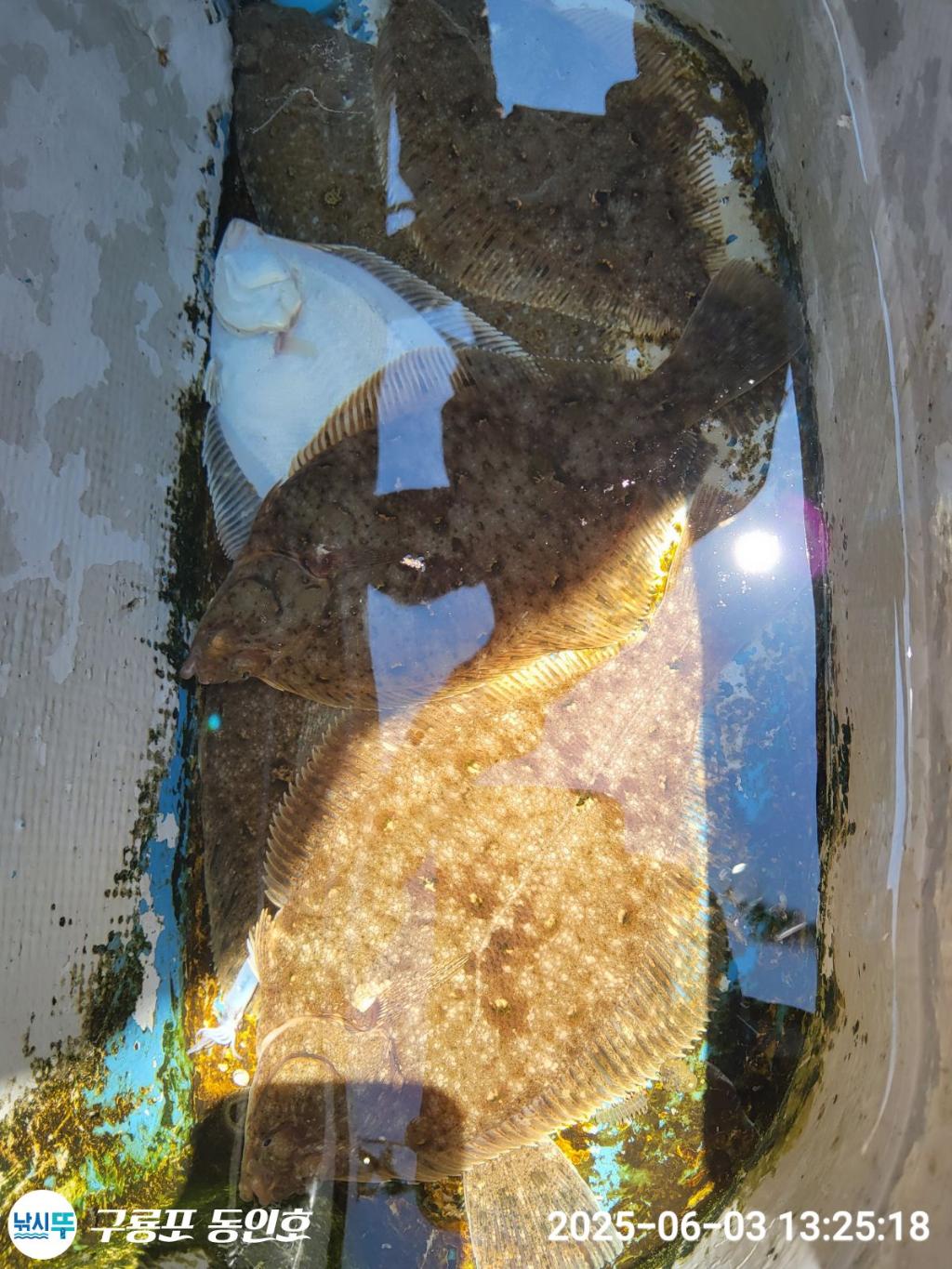 F2690112SH.jpg