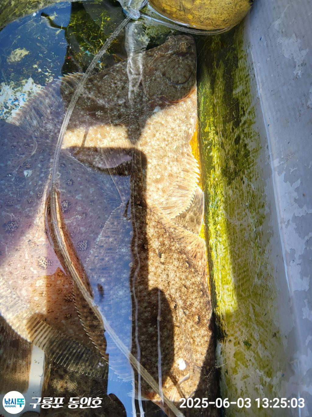 F26901143W.jpg