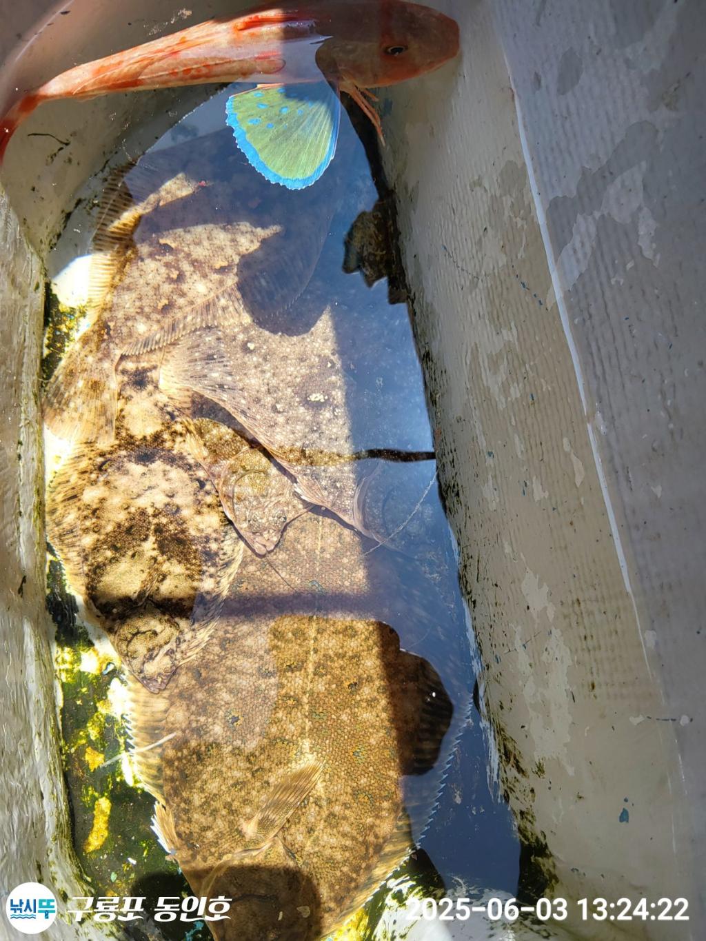 F2690119Q6.jpg