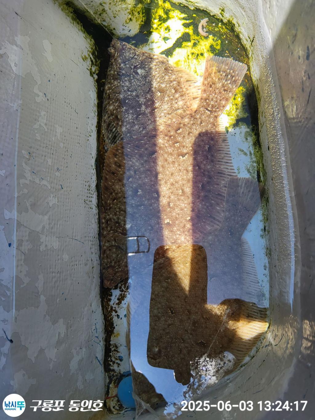 F2690120PP.jpg