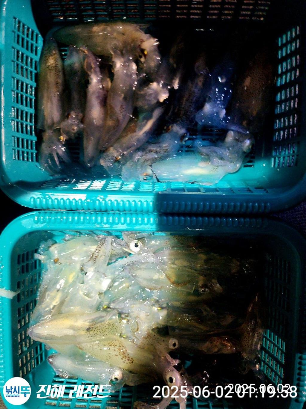 낚시뚜,기타 (직접입력),진해명동항,진해 레전드,낚시뚜10