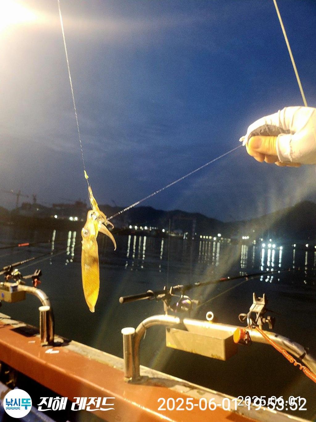 낚시뚜,기타 (직접입력),진해명동항,진해 레전드,낚시뚜7