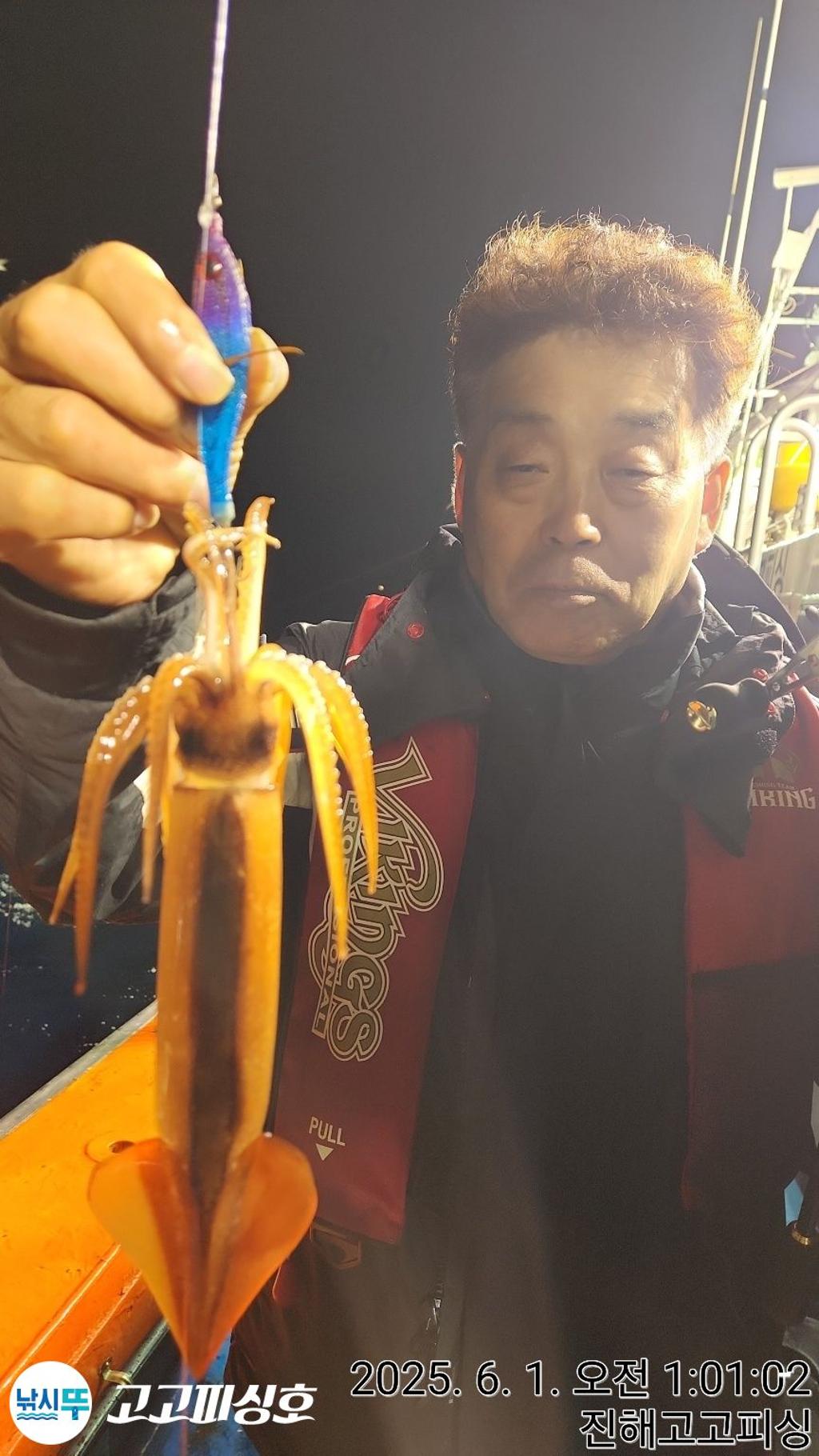 낚시뚜,한치,속천항(진해),고고피싱호,낚시뚜18
