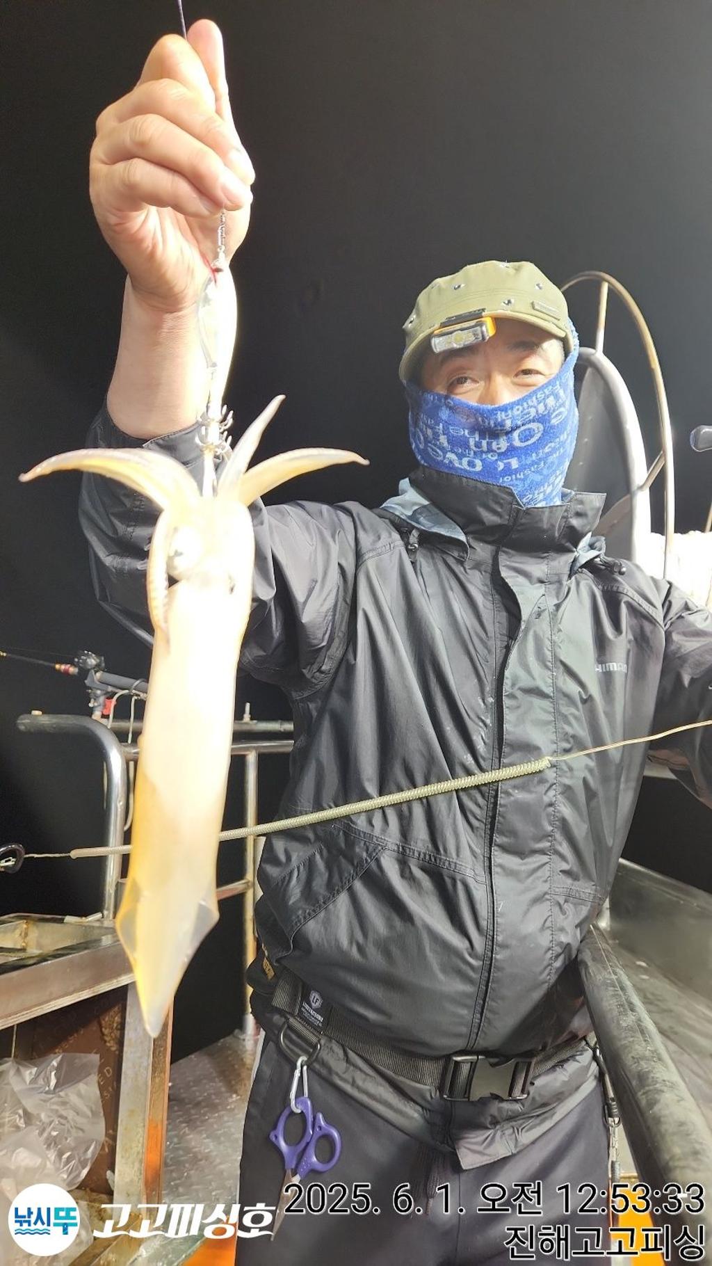 낚시뚜,한치,속천항(진해),고고피싱호,낚시뚜16