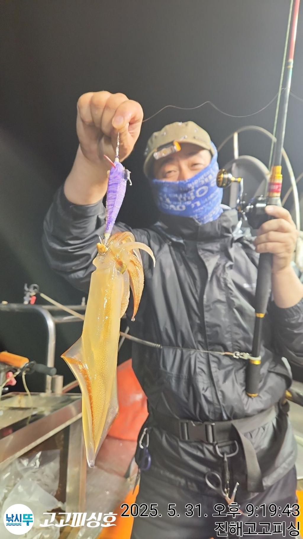 낚시뚜,한치,속천항(진해),고고피싱호,낚시뚜6