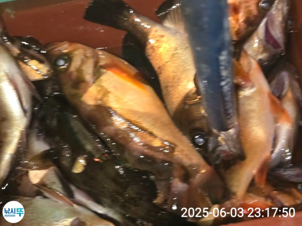 F269018697.jpg