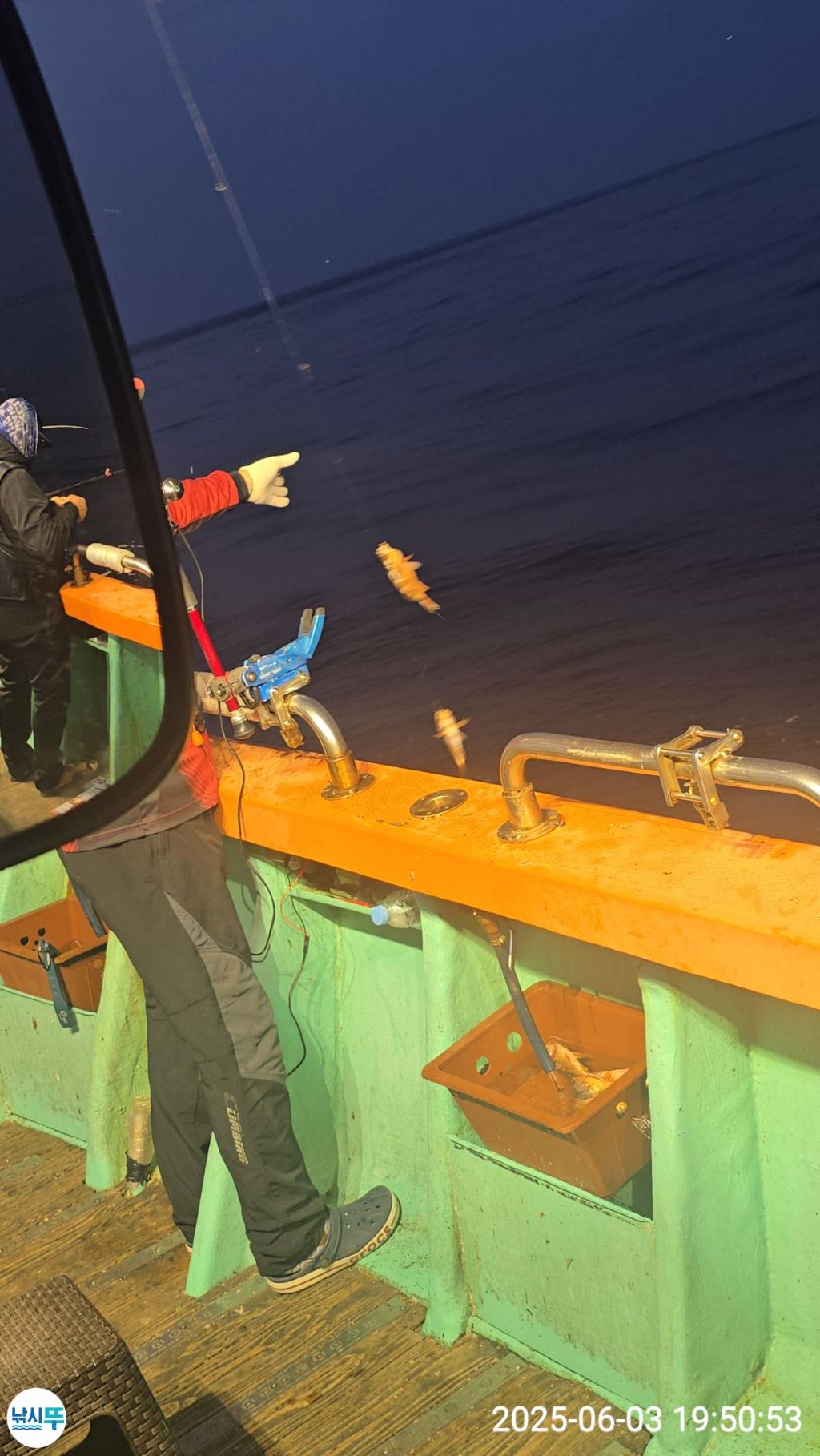 F2690191WX.jpg