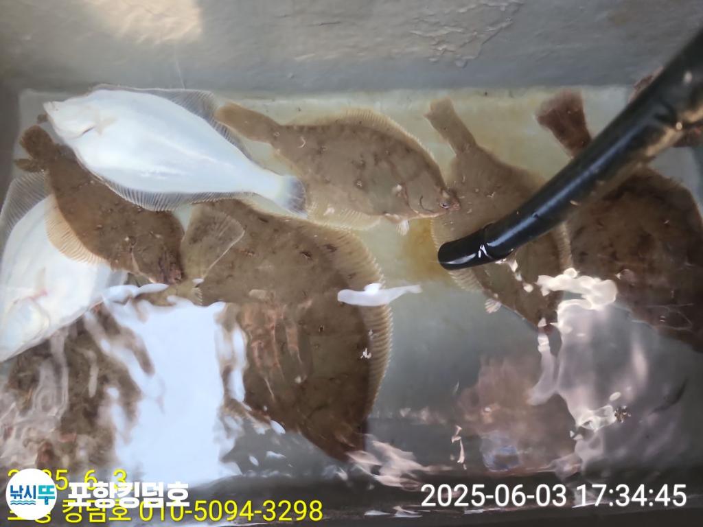 F2690229JU.jpg