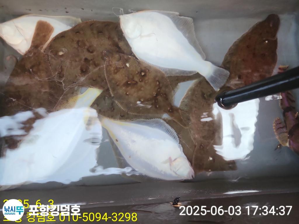 F269023064.jpg