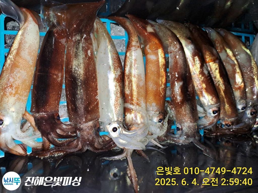 F26902741U.jpg