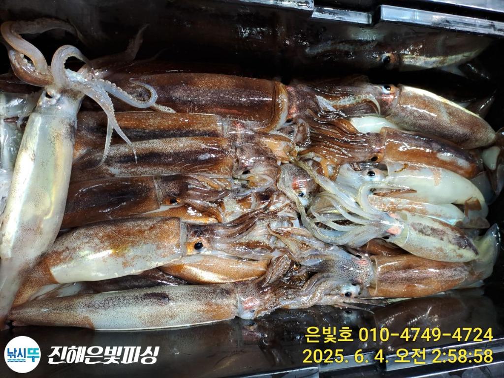 F2690276YU.jpg