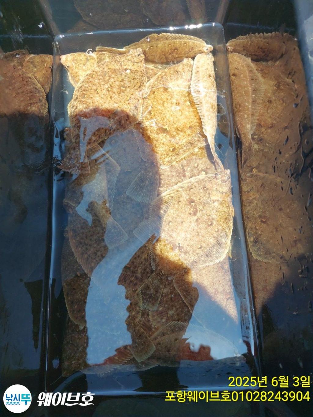 F2690308ED.jpg