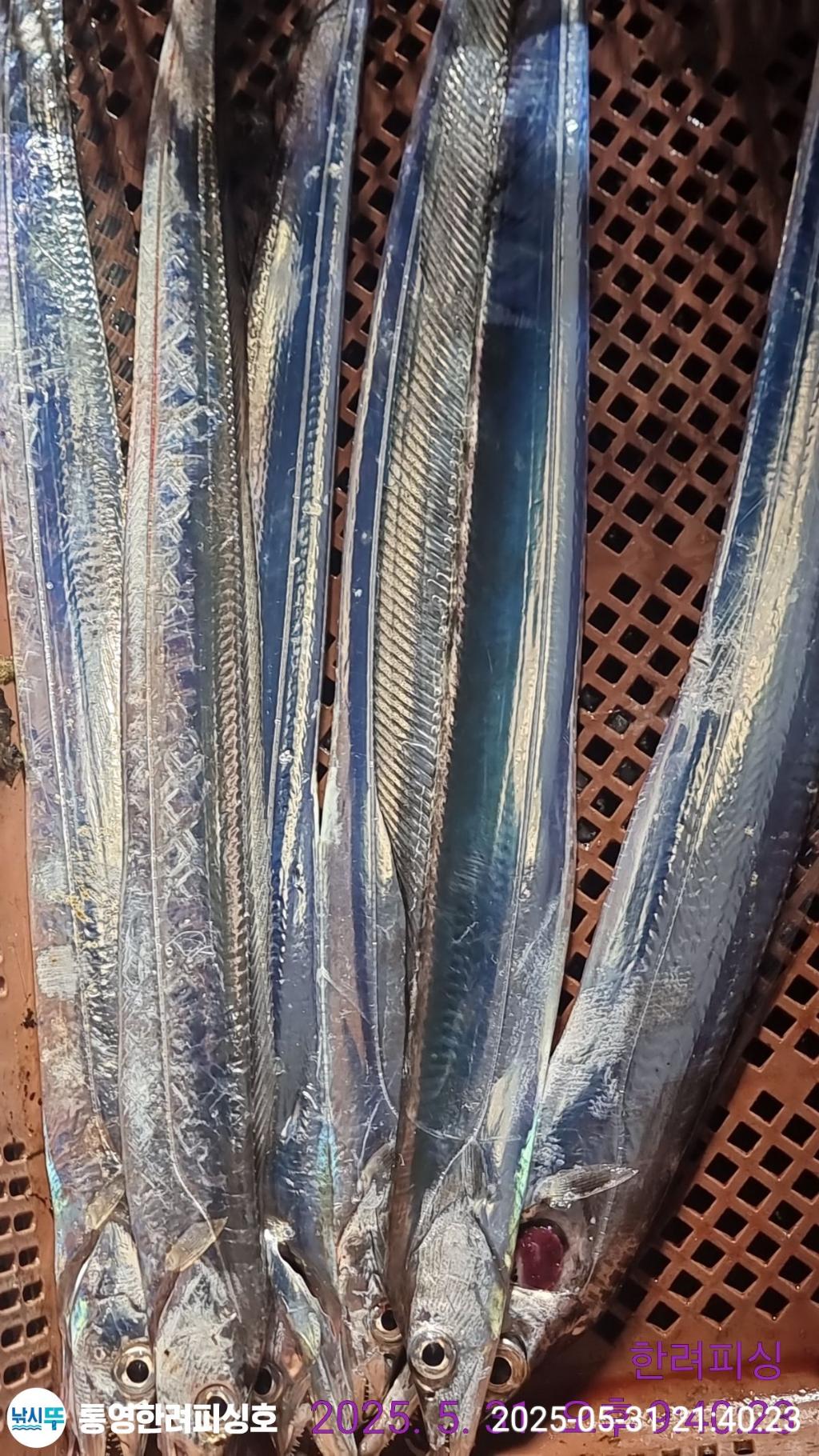 F2690418XA.jpg