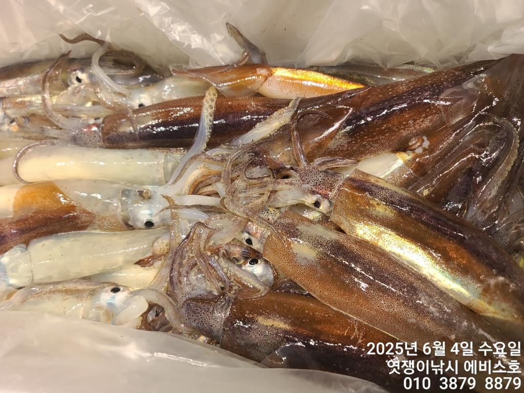 F2690461U1.jpg