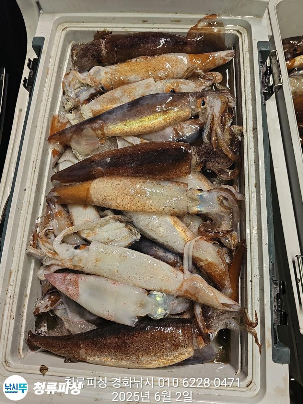 F26905688P.jpg