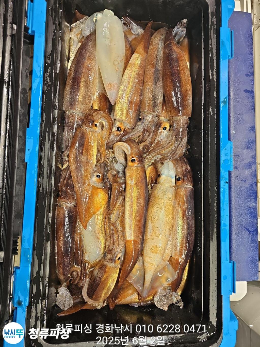 F269057119.jpg