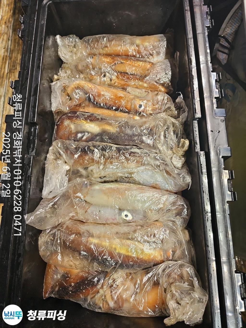F2690575QX.jpg