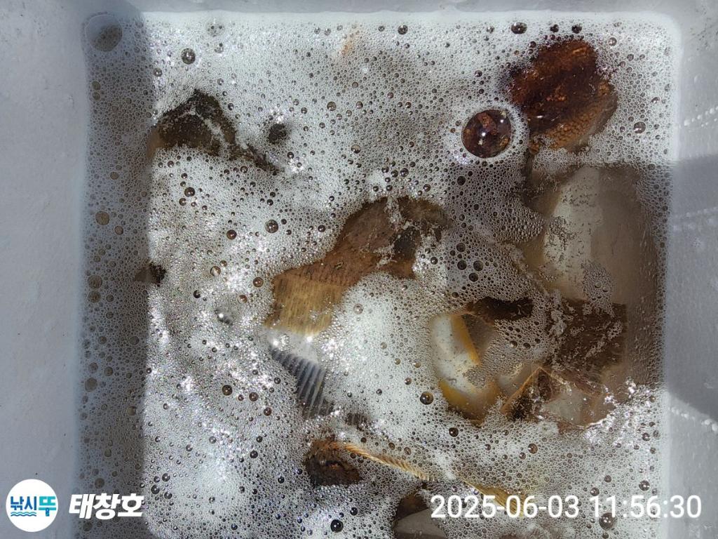 F2690611XC.jpg