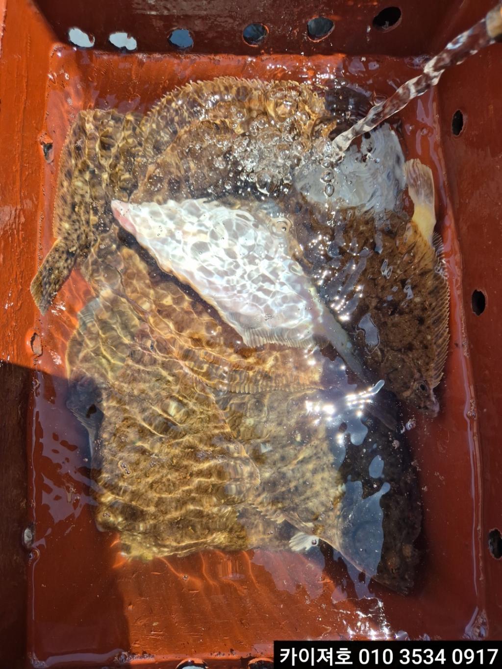 F2690760AD.jpg