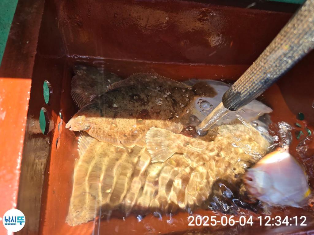 F2690801LB.jpg