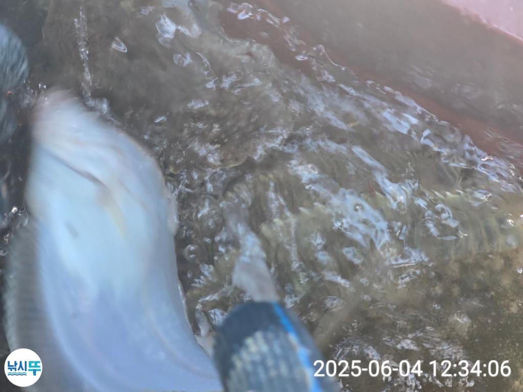 F26908030G.jpg
