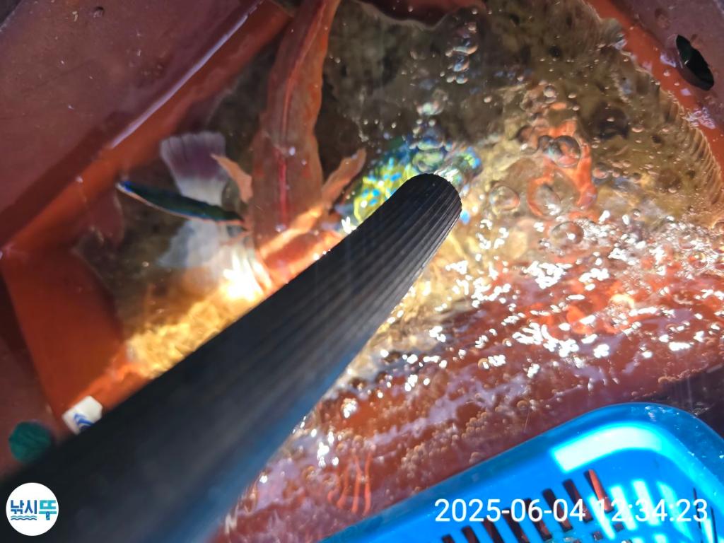 F2691083AR.jpg