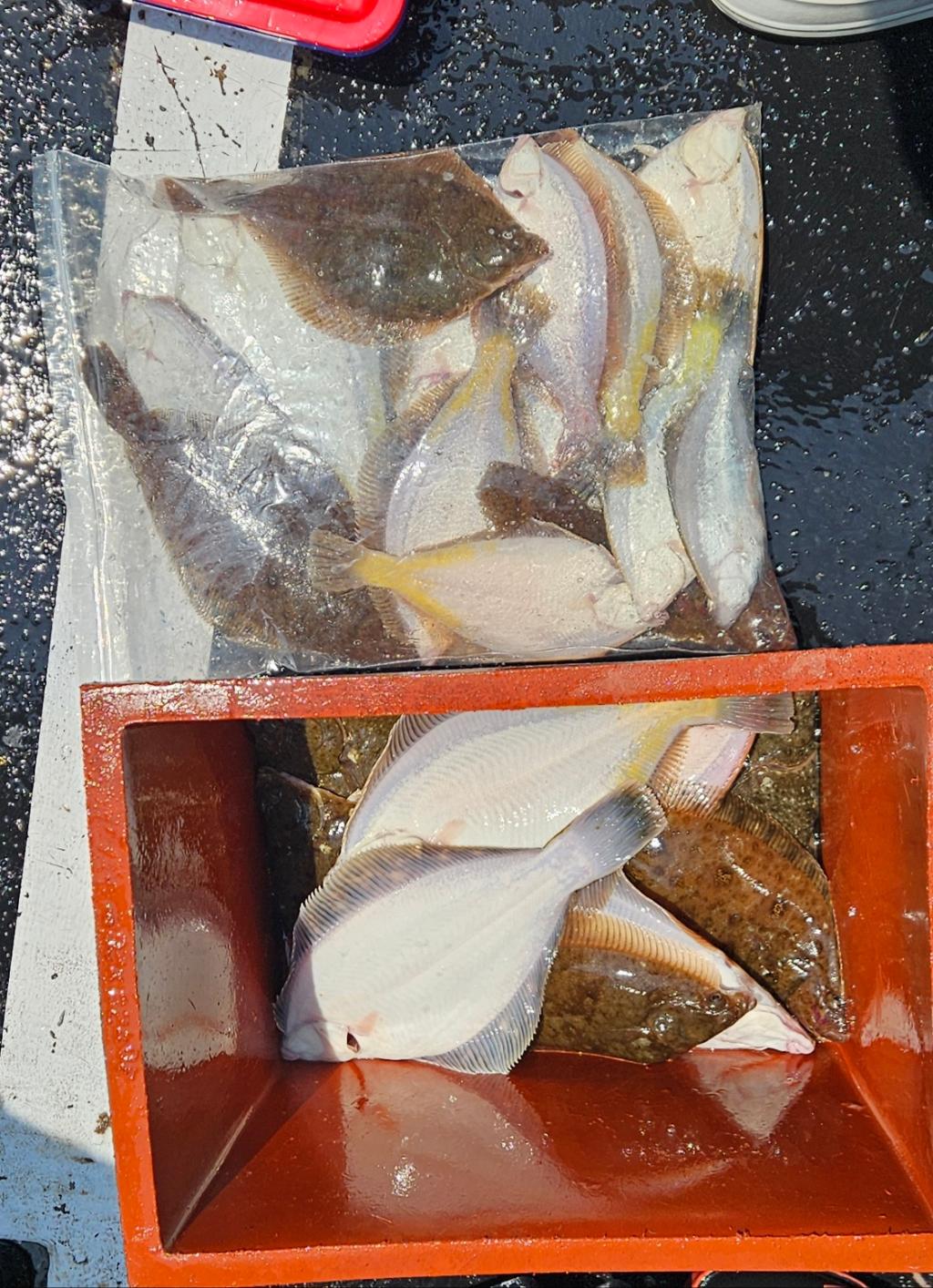 F269111209.jpg