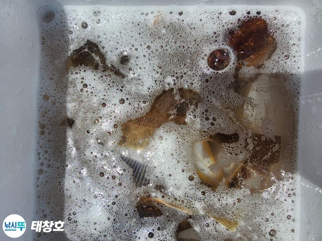 F26911226E.jpg