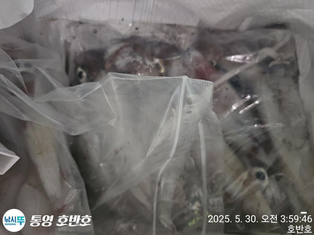 F2691173K5.jpg
