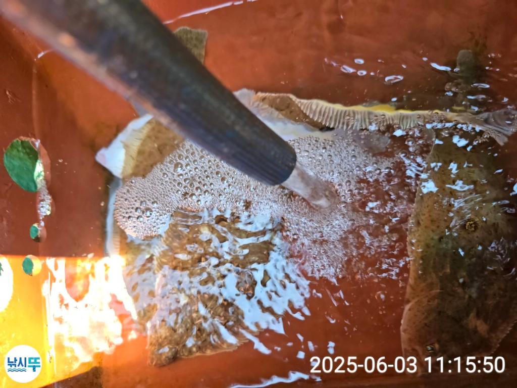F2691186GU.jpg