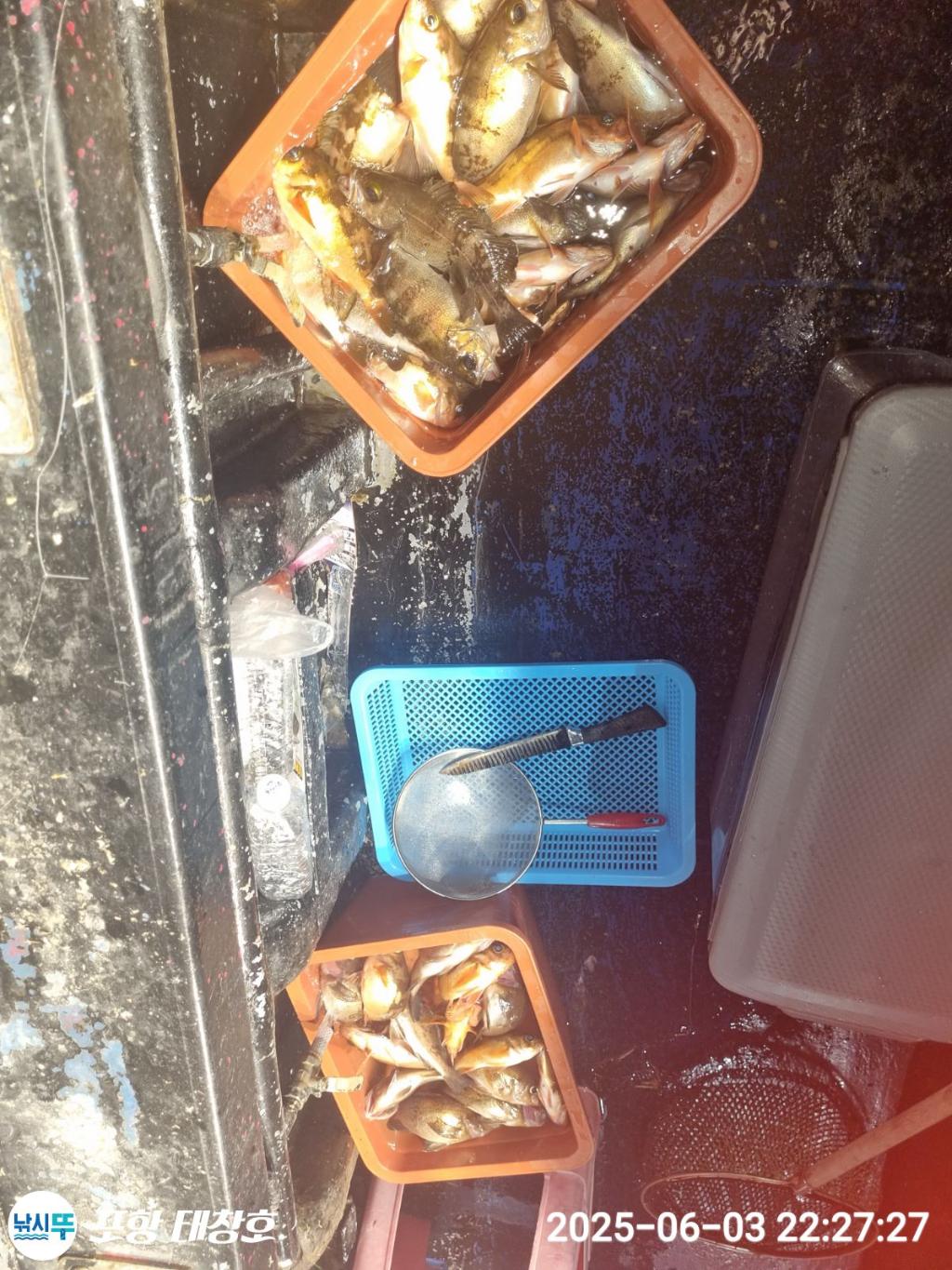 F2691207FQ.jpg