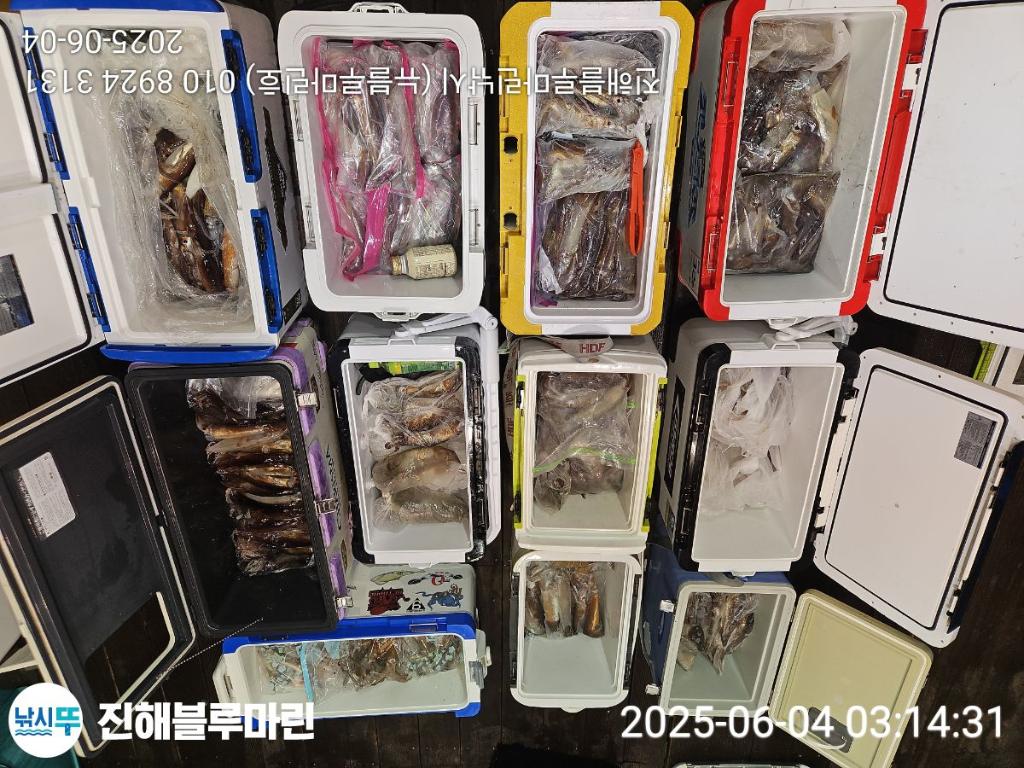 낚시뚜,한치,오징어,진해수도항,진해블루마린낚시,낚시뚜3