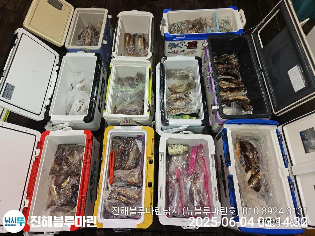 낚시뚜,한치,오징어,진해수도항,진해블루마린낚시,낚시뚜0