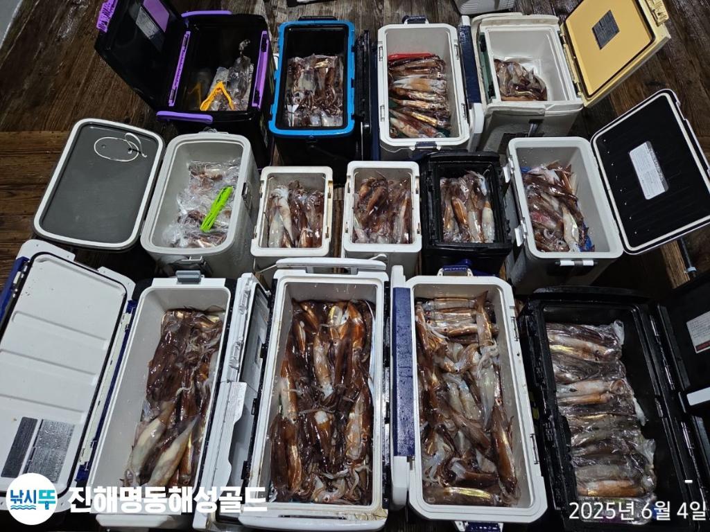 F2691309I9.jpg