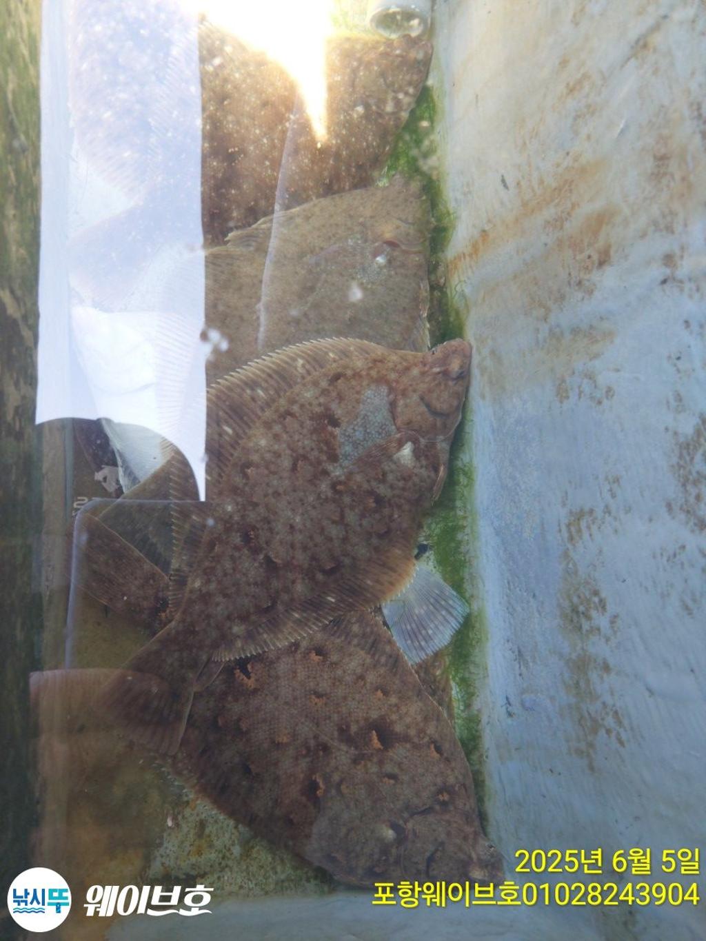 F2691397H8.jpg