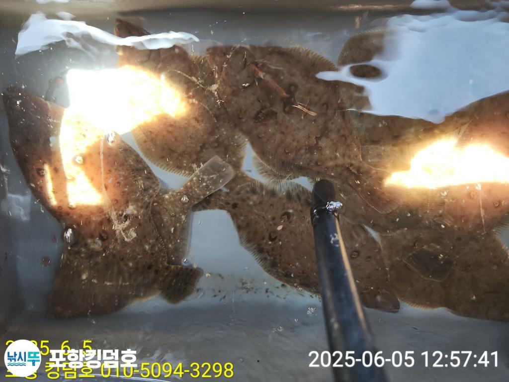 F26914165X.jpg