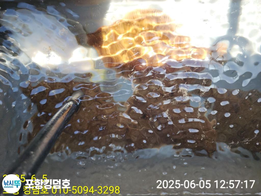 F26914187W.jpg