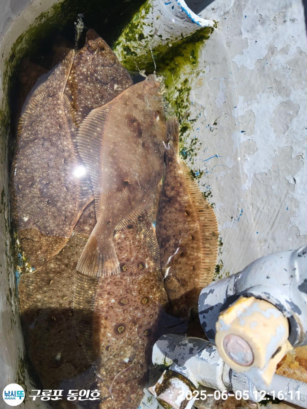 F26914420C.jpg