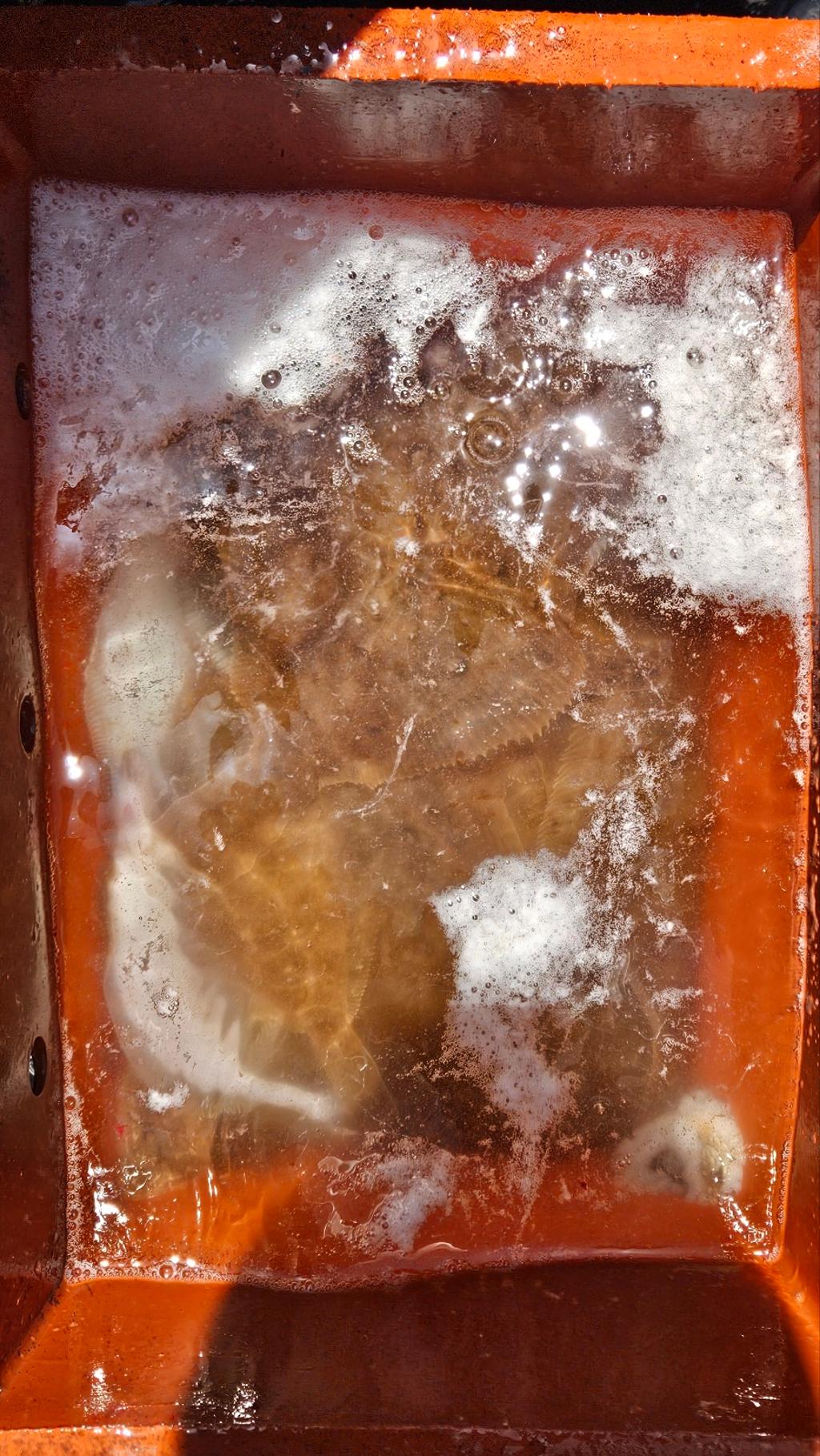 F2691479TF.jpg