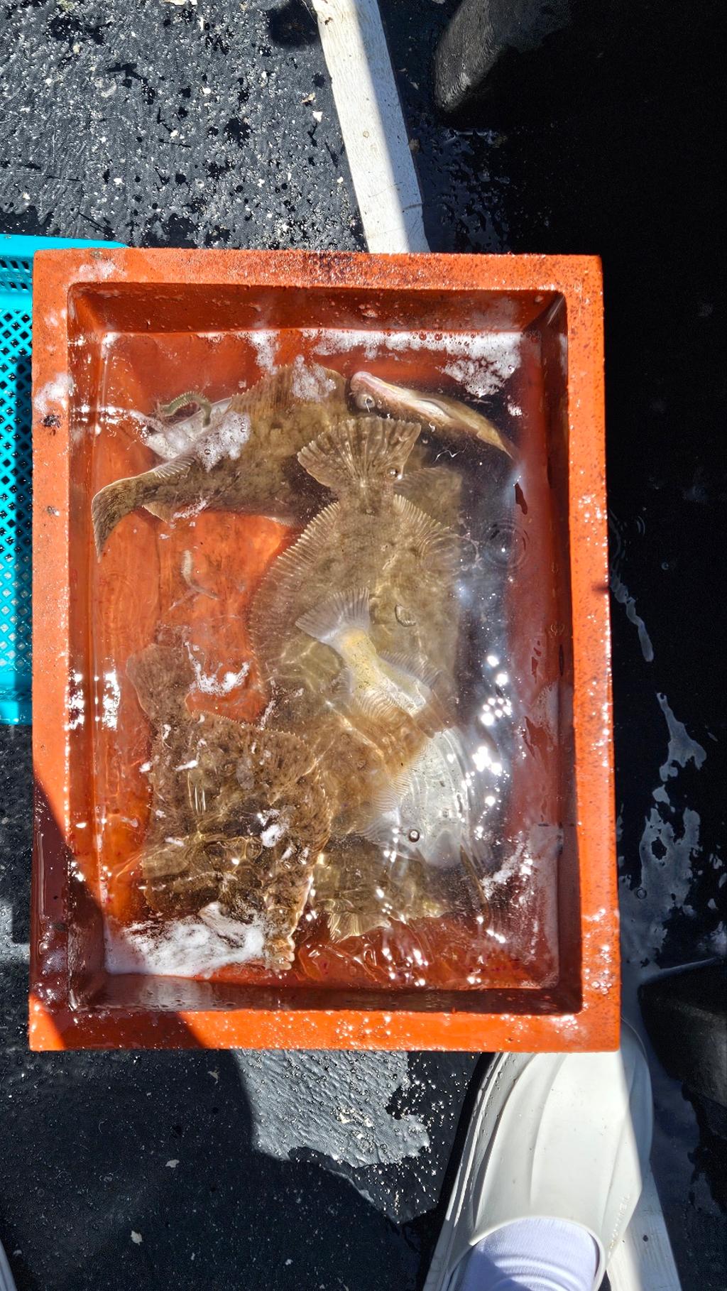 F26914812D.jpg