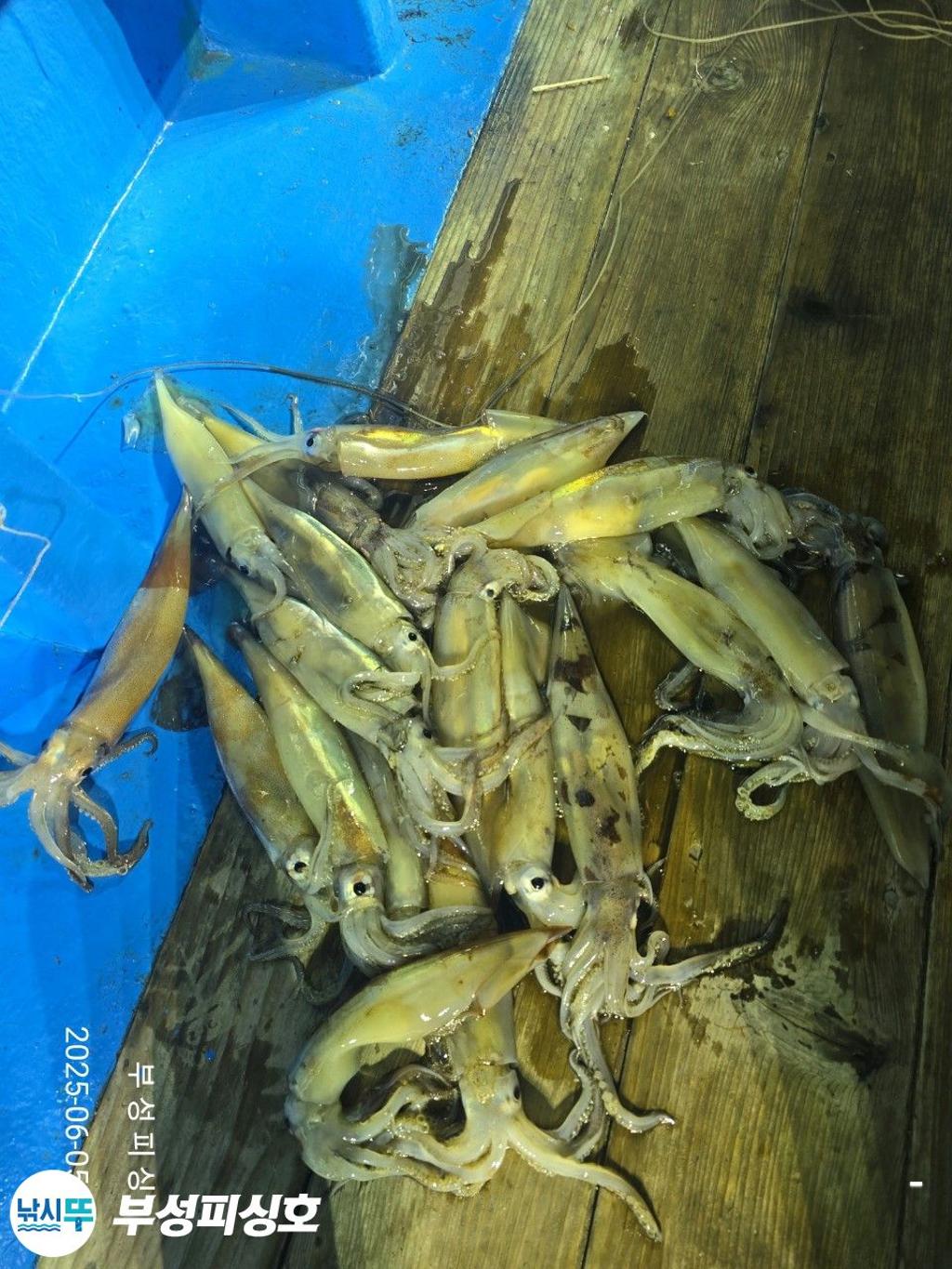F2691619P9.jpg